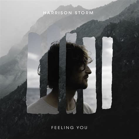 feeling you lyrics|lyrics feeling you harrison storm.